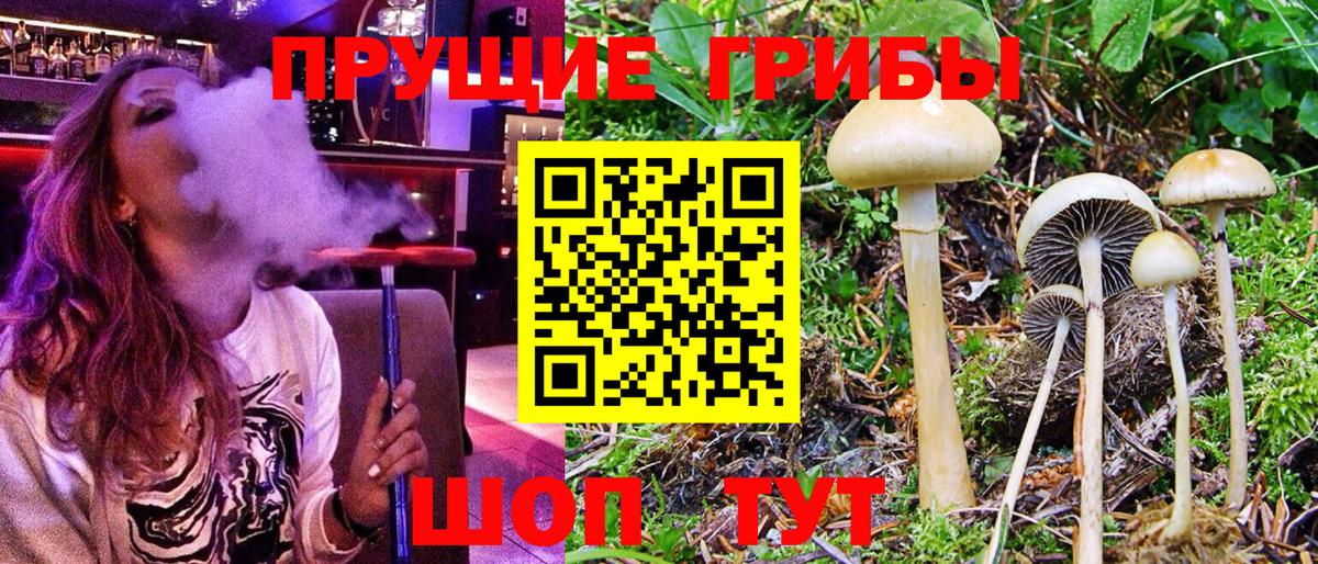 Отрадное  Галлюциногенные грибы мицелий  Вход с VPN  Галлюциногенные грибы Magic Shrooms 