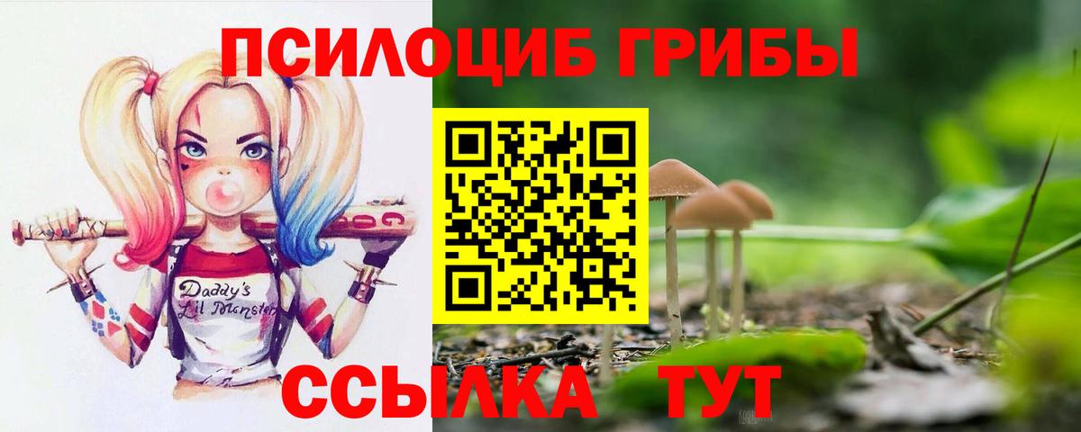 Псилоцибиновые грибы прущие грибы Отрадное